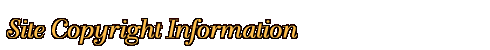 [ ASI Car Care Site Copyright Information ]