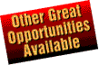 [ Other Great Opportunities available with Flat Free Tire Sealant ]