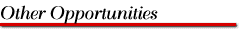 [ Other Opportunities ]
